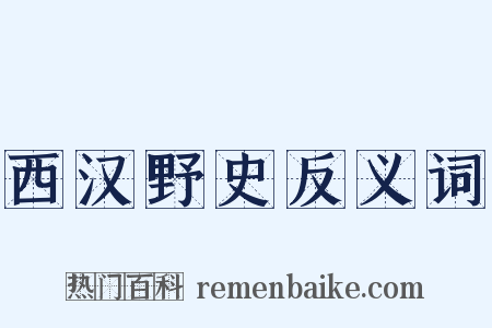 西汉野史反义词是什么意思的图片